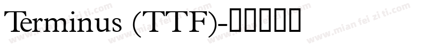 Terminus (TTF)字体转换